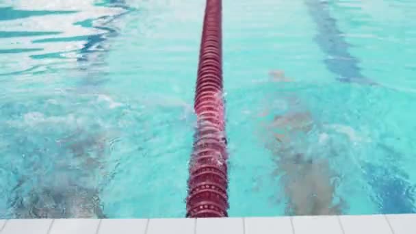 Nadadores profesionales mujer y hombre comienzan a nadar en la piscina - Metraje, vídeo