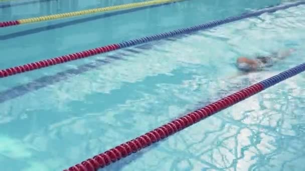 Handsome athlete swimmer sportsman training in swimming pool - Footage, Video