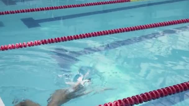 Hübscher Sportler schwimmt Sportlertraining im Schwimmbad - Filmmaterial, Video
