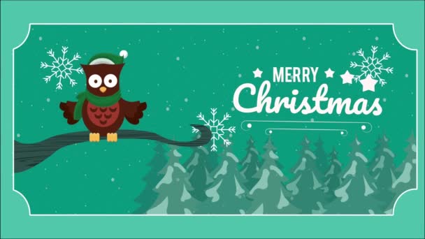 happy merry christmas card with owl bird - Footage, Video