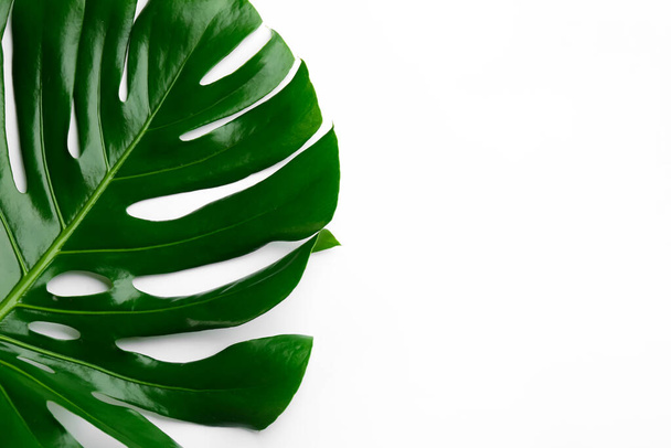 Beautiful monstera leaf on white background, top view. Tropical plant - Fotó, kép