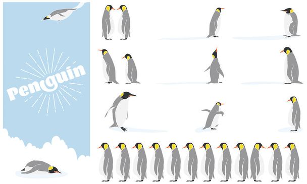 Imperatore pinguino illustrazione set con linea principale bianca - Vettoriali, immagini