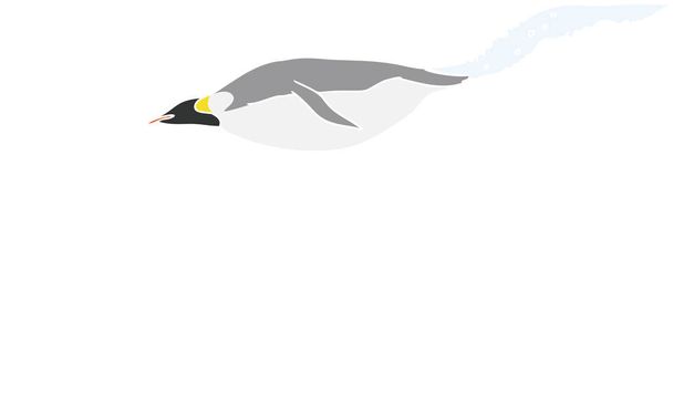 Illustrazione di pinguini imperatore, linea principale è bianco - Vettoriali, immagini
