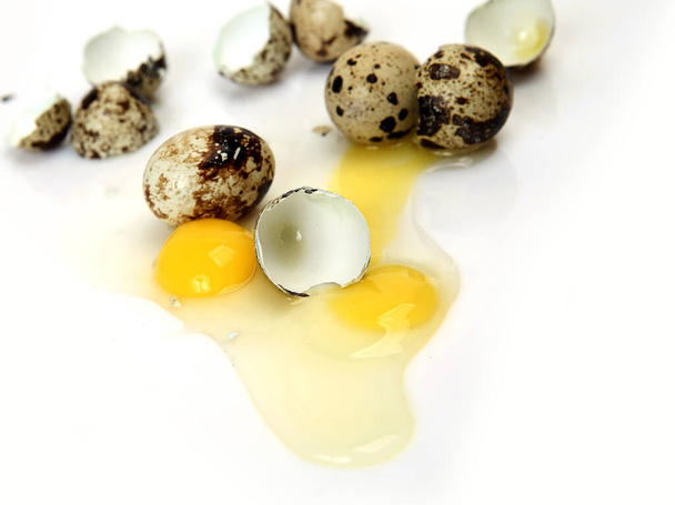 broken quail egg on white background - Photo, image
