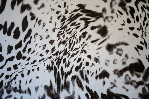 Camouflage abstrait noir et blanc. Le motif de dissimulation sur un tissu. Conception de masquage d'hiver. - Photo, image