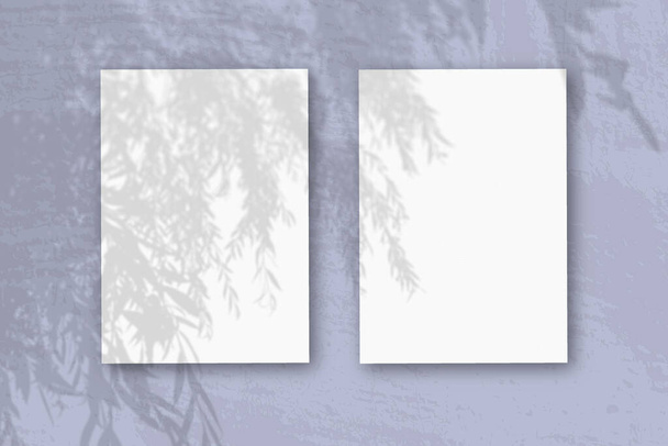2 κάθετα φύλλα λευκού χαρτιού σε μαλακό μπλε φόντο τραπεζιού. Mockup επικαλύπτονται με τις σκιές των φυτών. Το φυσικό φως ρίχνει σκιές από ένα εξωτικό φυτό. Οριζόντια κατεύθυνση - Φωτογραφία, εικόνα