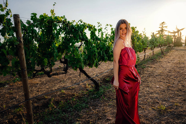 Портрет молодої красивої леді в червоній сукні в виноградниках в літній сезон. насолоджуючись дегустаційним туром у чудовому виноробному регіоні
. - Фото, зображення