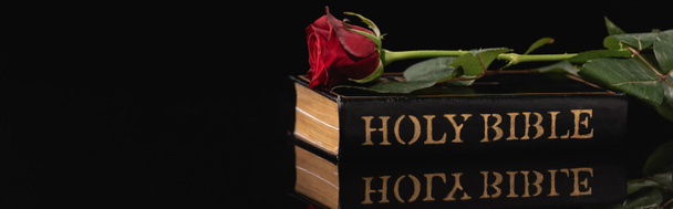red rose on holy bible on black background, funeral concept, banner - Photo, Image