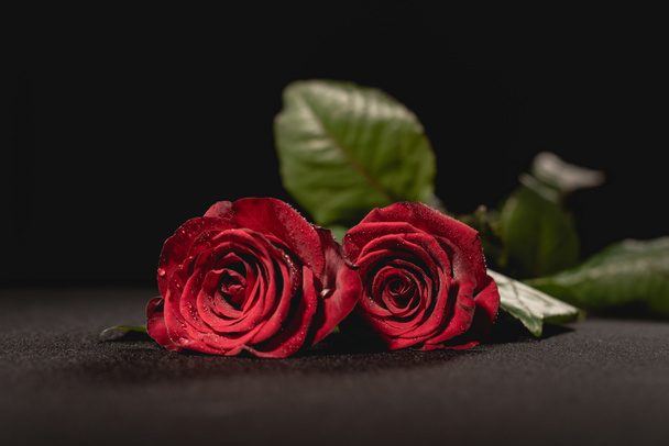 dos rosas rojas sobre fondo negro, concepto funerario - Foto, imagen