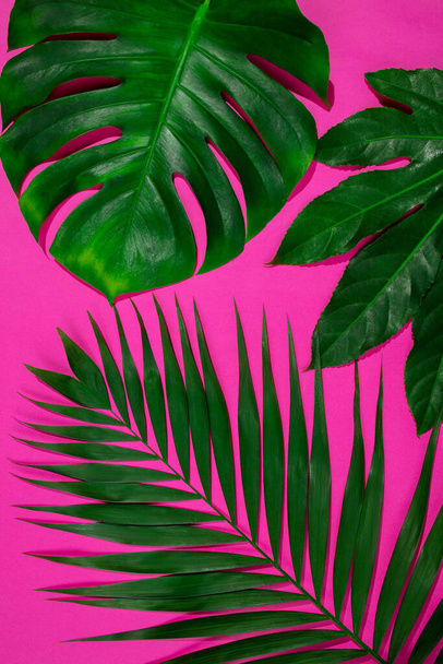 Green leaf exotic plants seamless. Art collage for floral print - Фото, зображення