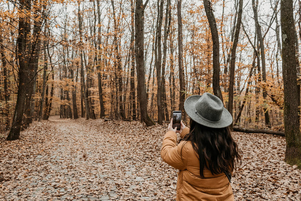 A back view of a female taking a photo of the autumn forest with her smartphone - Fotó, kép