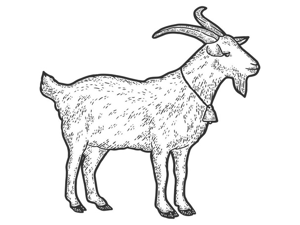 Chèvre avec cloche autour du cou. Illustration vectorielle de gravure. Croquis scratch. - Vecteur, image