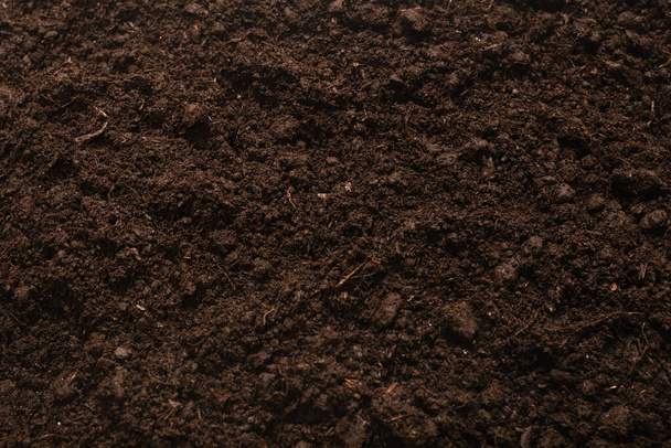 Black land for plant background. Top view.  - Photo, Image