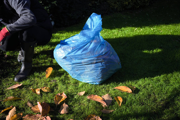 kobieta czyści suszone liście w jesiennym ogrodzie - Zdjęcie, obraz