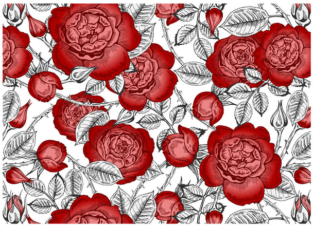 Εικονογράφηση διάνυσμα σκίτσο ζωγραφισμένα στο χέρι μοτίβο σε vintage στυλ με κόκκινα λουλούδια ανθισμένα απομονώνονται σε λευκό φόντο. Γραμμικό τριαντάφυλλο, παιώνιος, φύλλα. Ταπετσαρία με λουλούδια, ύφασμα - Διάνυσμα, εικόνα