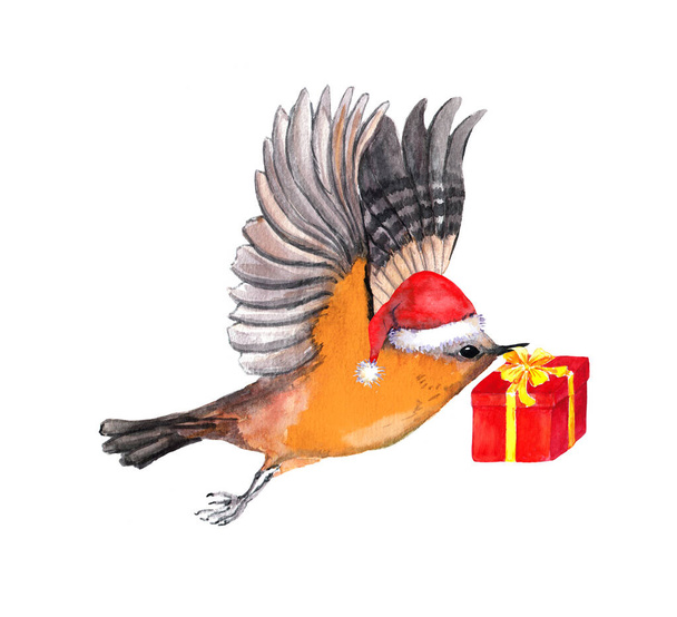 Cute flying bird in red santa hat with gift box. Watercolor christmas animal - Fotó, kép