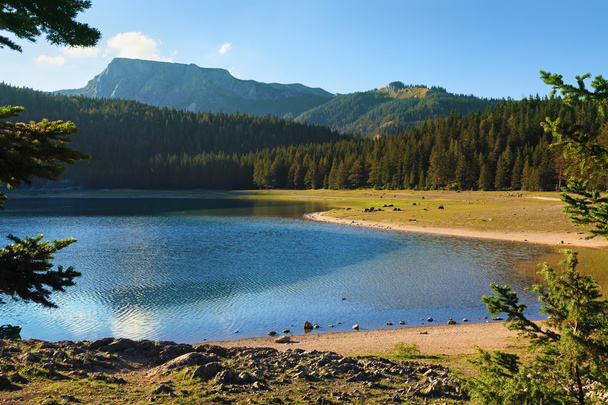 Nézd a fekete tó a durmitor nemzeti park - Fotó, kép