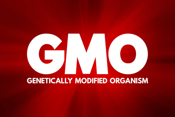 GMO - Geneticky modifikovaný organismus akronym, koncept pozadí - Fotografie, Obrázek