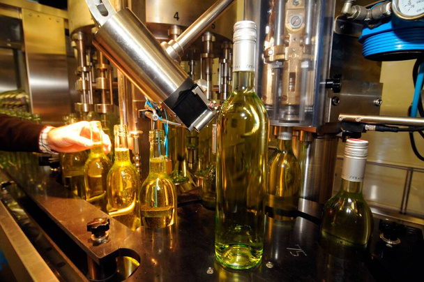 viinin pullottaminen nykyaikaisessa teollisessa viinipullotuslaitoksessa - Valokuva, kuva