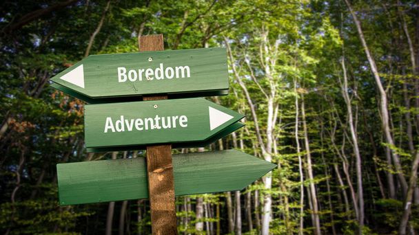 Street Sign the Direction Way to Adventure versus Boredom - Photo, Image