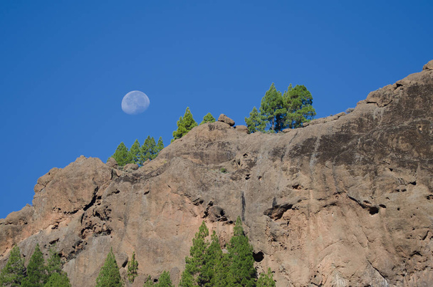 ヌブロ天然記念物の崖と月. - 写真・画像