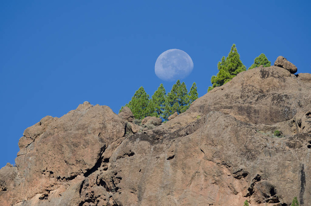 Кліфф і місяць у природній пам "ятці Нубло.. - Фото, зображення