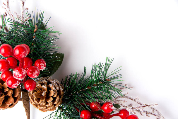 Christmas decor pine twig with pine cone on white background copy space - Foto, afbeelding