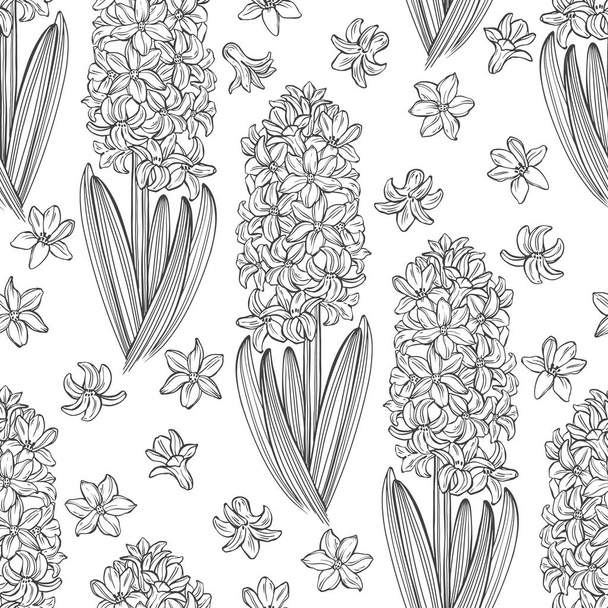  Hyacinths. Floral endless background. Hand-drawn spring vector illustration. Black and white.Outline. - Vector, Image