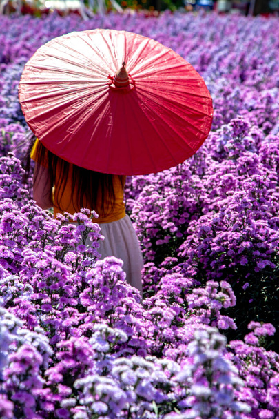 Virággazdaság Chiang Mai tartomány, Thaiföld - Fotó, kép