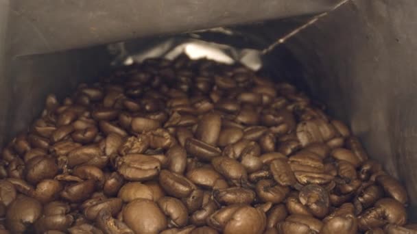 Marco disparó dentro de un paquete de granos de café - Imágenes, Vídeo