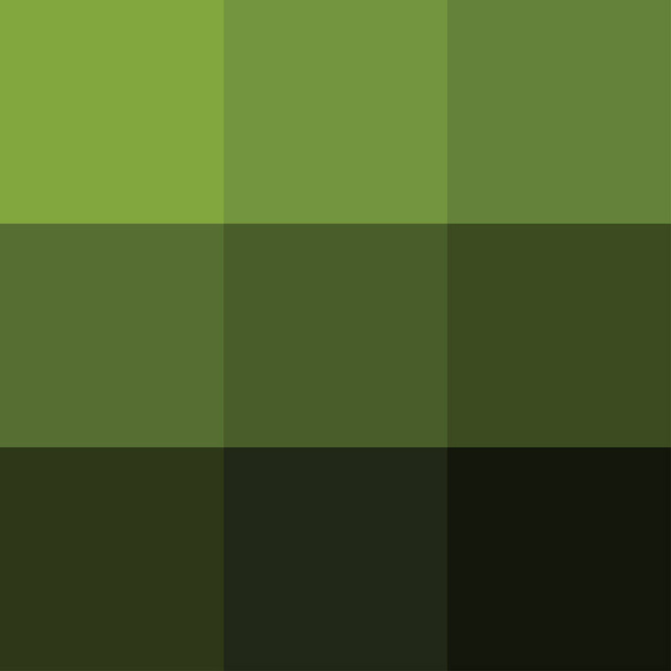 Illustration vectorielle palette de couleurs verte - Vecteur, image