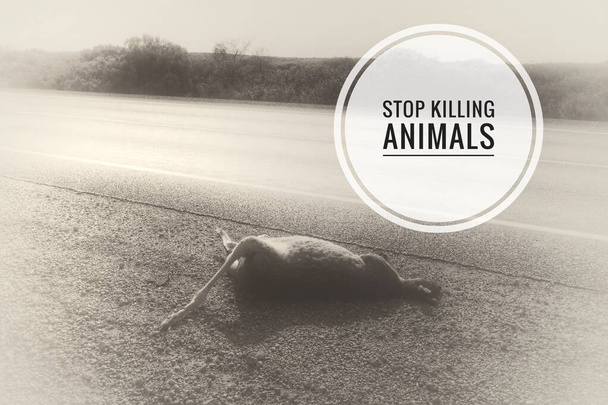 Image avec des formulations ou des citations - Arrêtez de tuer des animaux - Photo, image