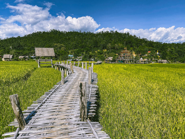 Pai 'deki Bambu Köprüsü, Mae Hong Son, Chiang Mai, Tayland - Fotoğraf, Görsel