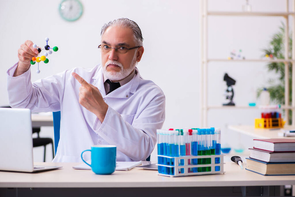 Velho cientista do sexo masculino que estuda modelo molecular - Foto, Imagem
