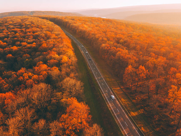 Fall forest landscape with rural road view from above. Colorful nature background. Autumn forest aerial drone view - Photo, Image