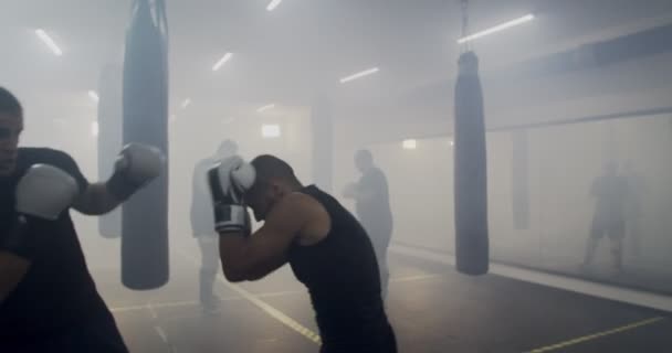 Harcos bemelegítés edzővel - Felvétel, videó
