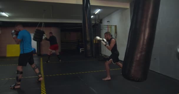 Kiképző rúgódoboz boxzsákokkal - Felvétel, videó