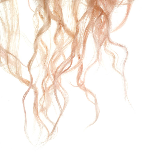 Cheveux blonds isolés sur fond blanc - Photo, image