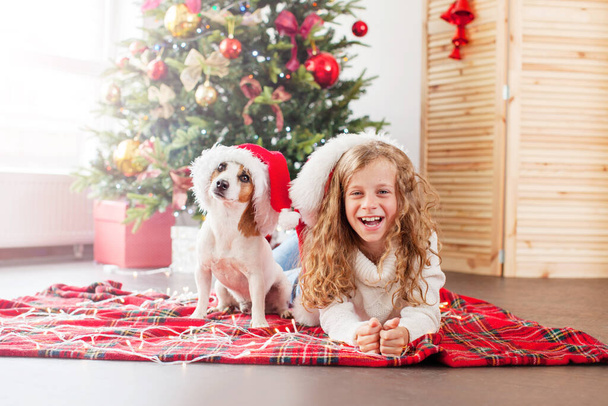 Child with dog near christmas tree - Foto, Imagen