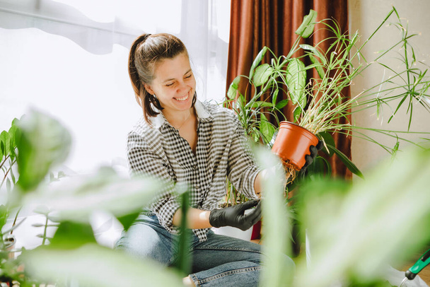 woman transplanting flowers in bigger pots at home. copy space - Photo, Image