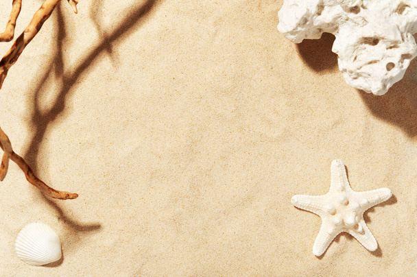 貝殻、ヒトデや海の石と黄金のビーチの砂。木の影。テキストのスペースをコピーします。夏の装飾。季節の休暇と旅行のコンセプト. - 写真・画像