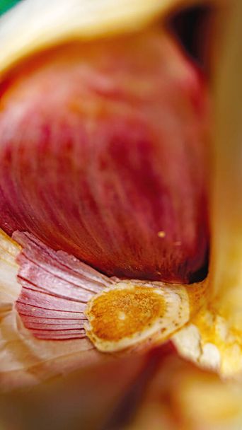 Macro of a head of garlic for backgrounds and textures - Photo, Image