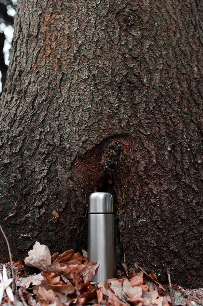 Vacuum thermos standing on fallen oak leaves outside in the forest. Traveling aluminum flask, vertical photo. Concept for travel, hike, adventure, picnic. - Foto, imagen
