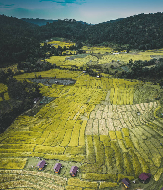 Tayland 'ın Chiang Mai eyaletindeki Doi Inthanon Milli Parkı' nda Rice Terasları - Fotoğraf, Görsel
