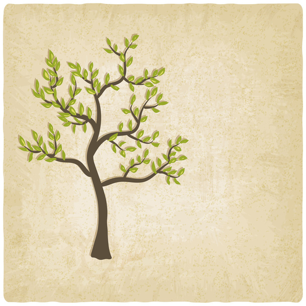 Tree old background - Vector, afbeelding