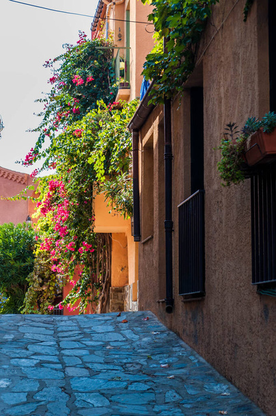 Collioure, přímořská vesnice na vermeille pobřeží v Occitania. - Fotografie, Obrázek