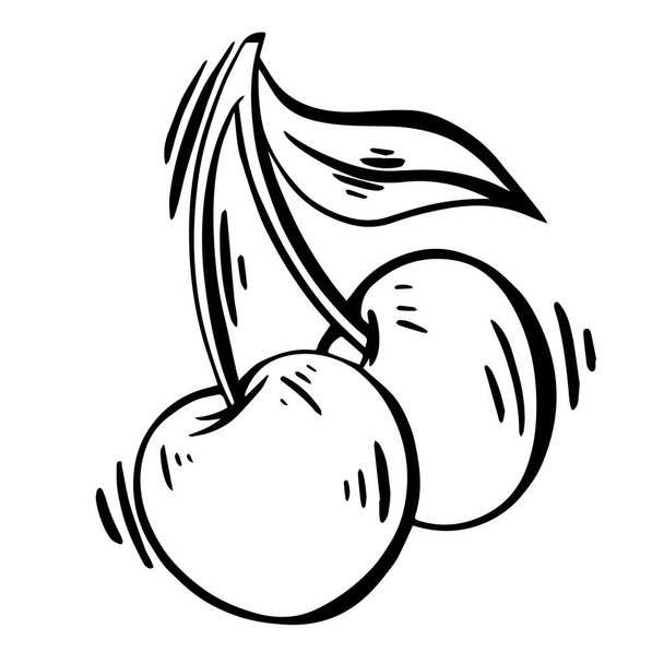 Cherry vector hand tekening set. Geïsoleerde bes op witte achtergrond. Ideaal voor label, bedrukking, fruitontwerp - Vector, afbeelding