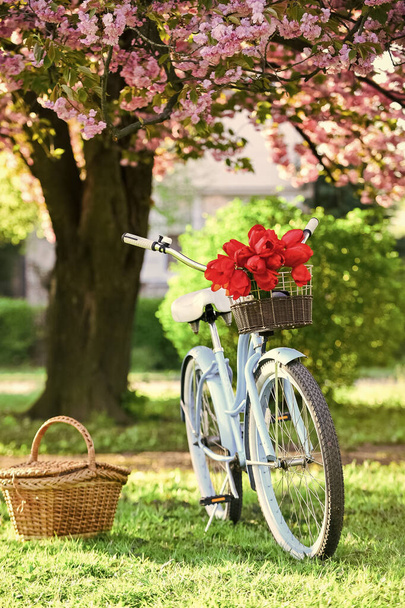 Bike rental shops primarily serve typically travellers and tourists. Vintage fancy bike blooming garden background. Rent bike to explore city. Nature cycling tour. Retro bicycle with picnic basket - Photo, image