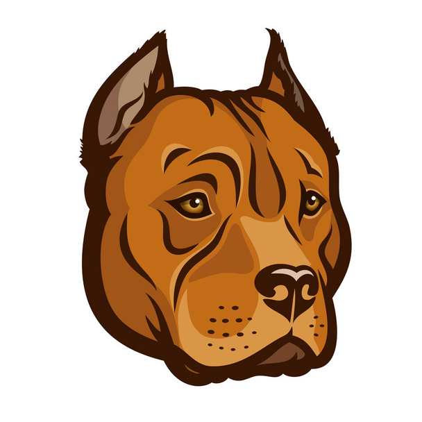 pit bull icon vector illustration - Wektor, obraz