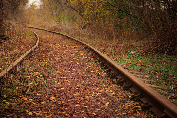 Sonbahar ormanındaki eski paslı demiryolu hattı. - Fotoğraf, Görsel